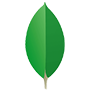 MongoDB
